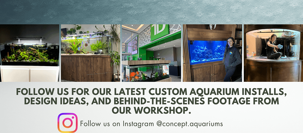 Simple image based business facebook banner (2) follow instagram for custom tanks