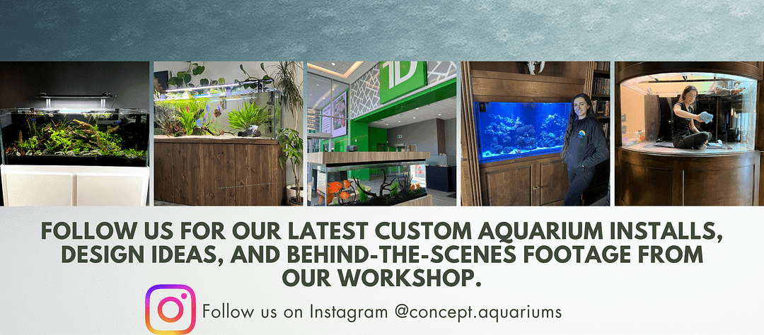 Simple image based business facebook banner (2) follow instagram for custom tanks