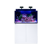 MAX NANO G2 XXL MAX NANO G2 XXL red sea