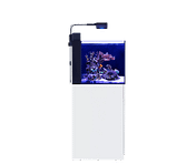 MAX NANO G2 Peninsula MAX NANO G2 Peninsula red sea