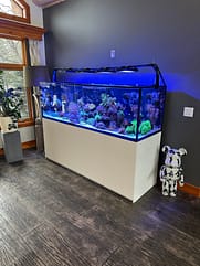 red sea plug and play set up 