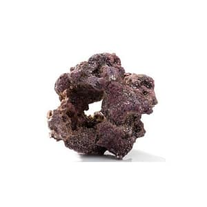 Caribsea LifeRock Donuts - Each