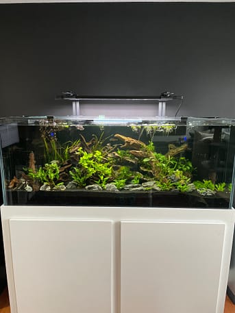 custom low iron glass tank custom low iron glass tank