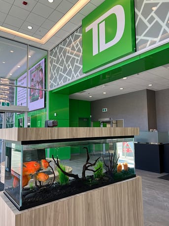 IMG_7858 custom aquarium stand canada