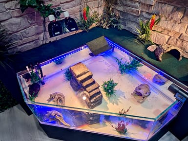 IMG_0871 custom aquarium turtle tank top view