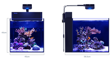 MAX NANO G2 Peninsula dimensions MAX NANO G2 Peninsula dimensions red sea