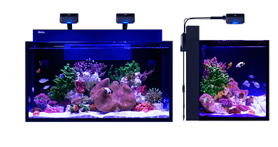 MAX NANO G2 XXL dimensions MAX NANO G2 XXL dimensions red sea