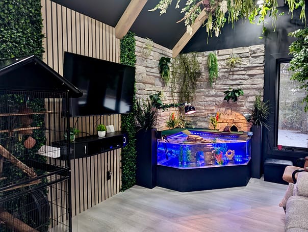 IMG_0872 custom aquarium turtle tank