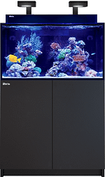 Menu-D-MAX-Ex4 MAX- E red sea