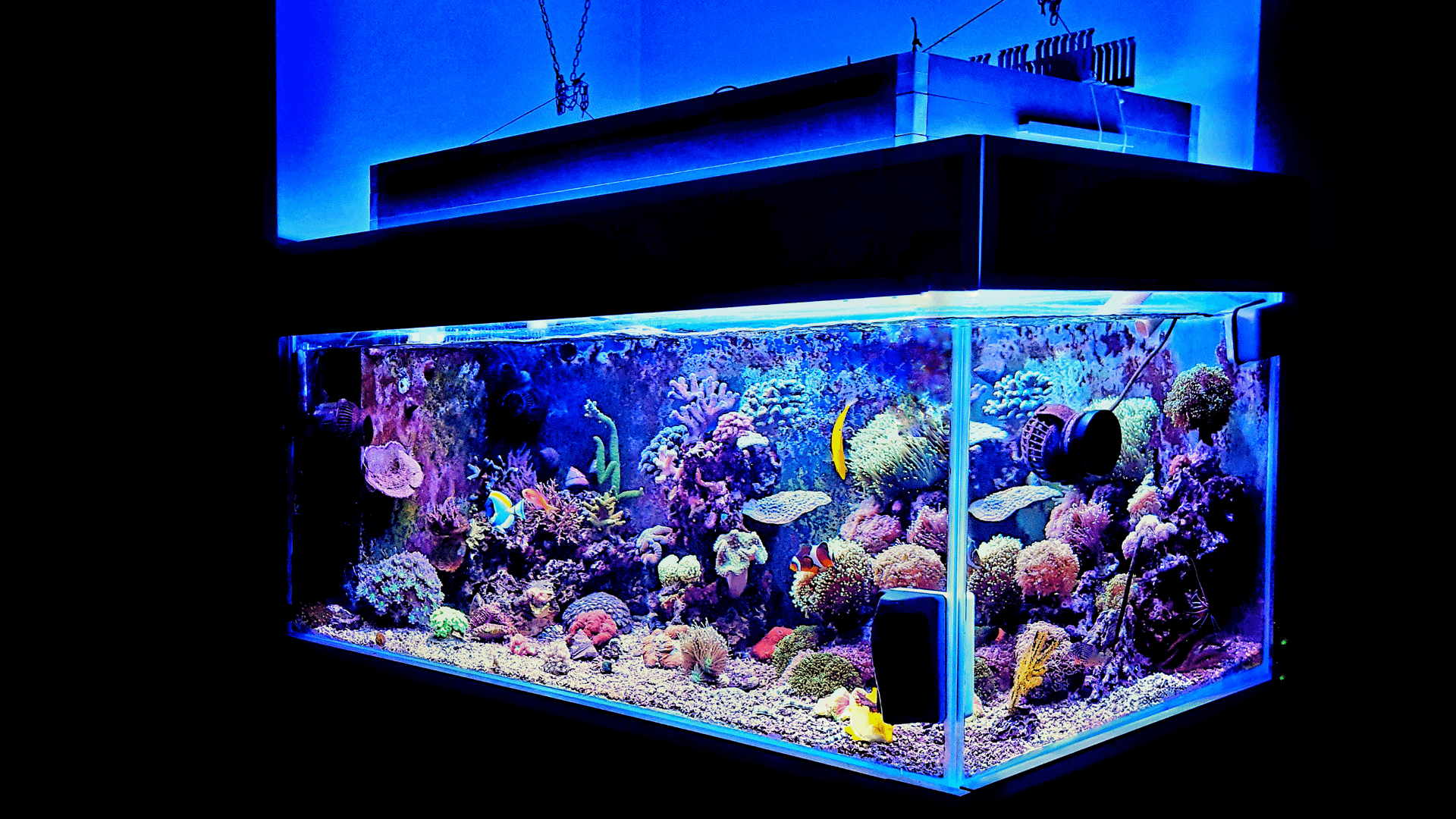 8 red sea max nano tank calgary