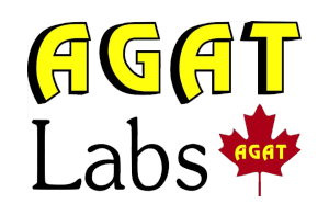agat labs logo agat labs