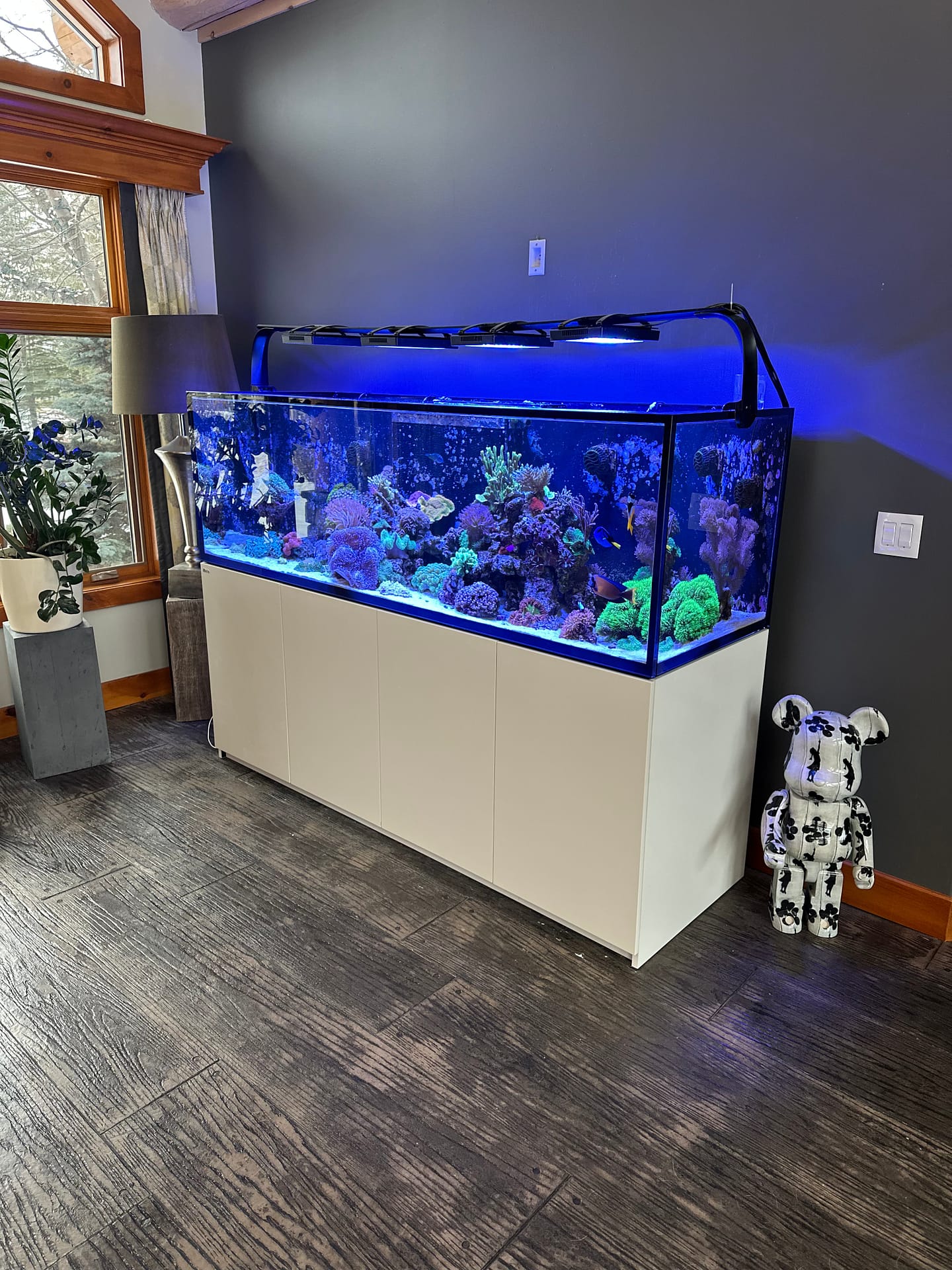 clients red sea tank red sea reefer 250 aquarium calgary