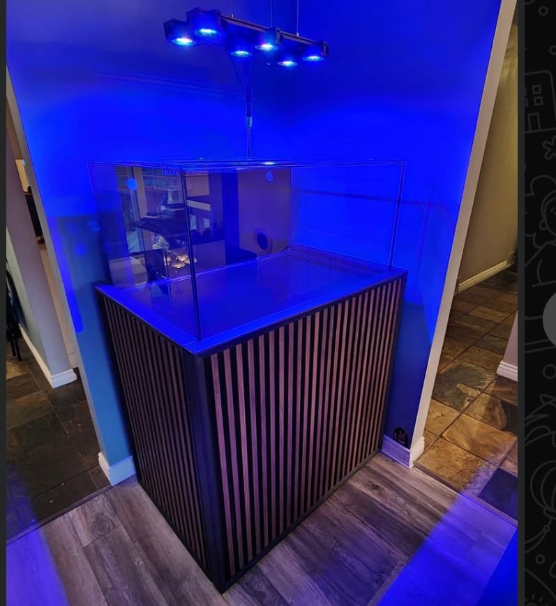 Michaels custom tank custom glass aquarium calgary