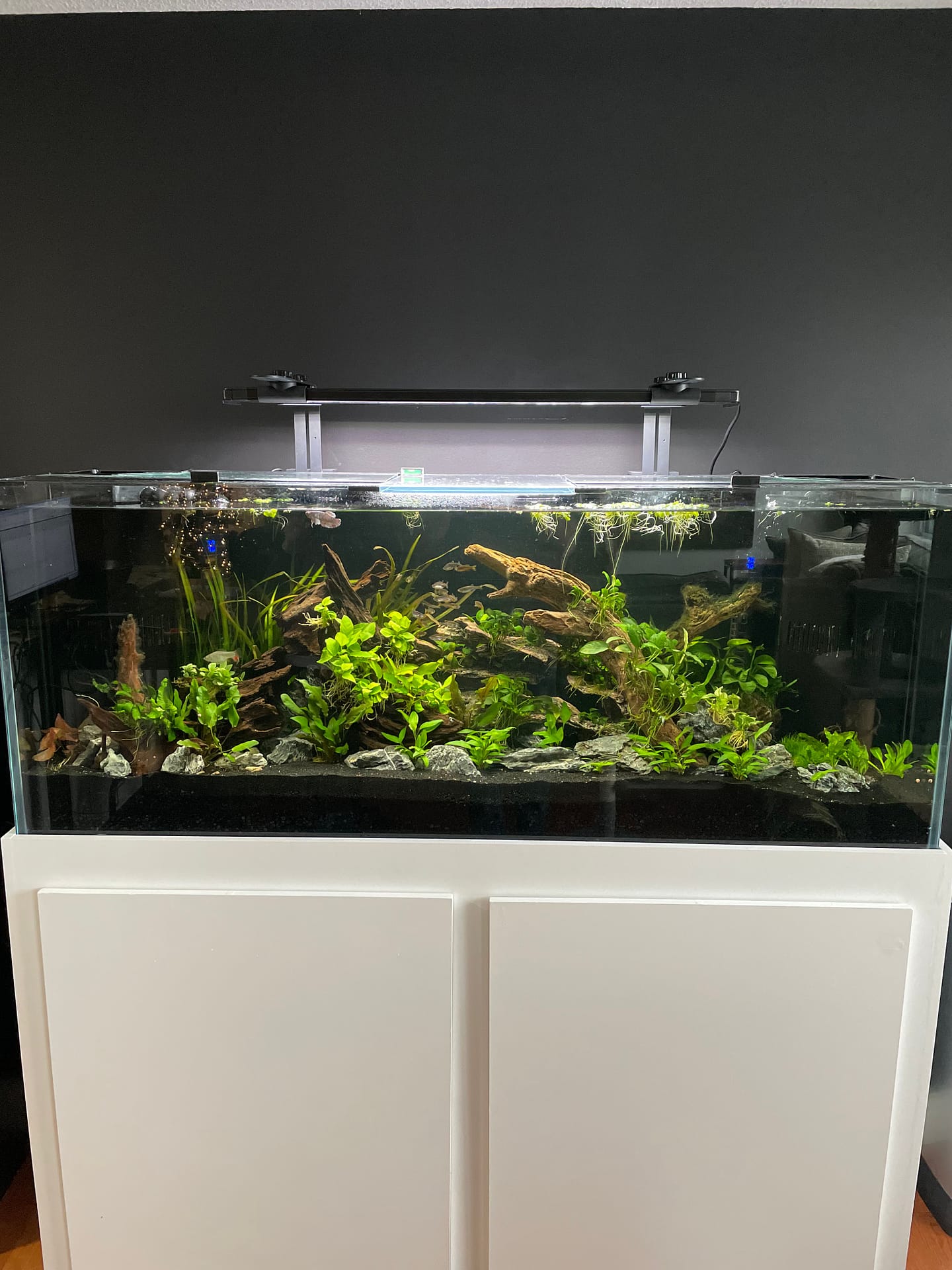 custom low iron glass tank custom low iron glass tank