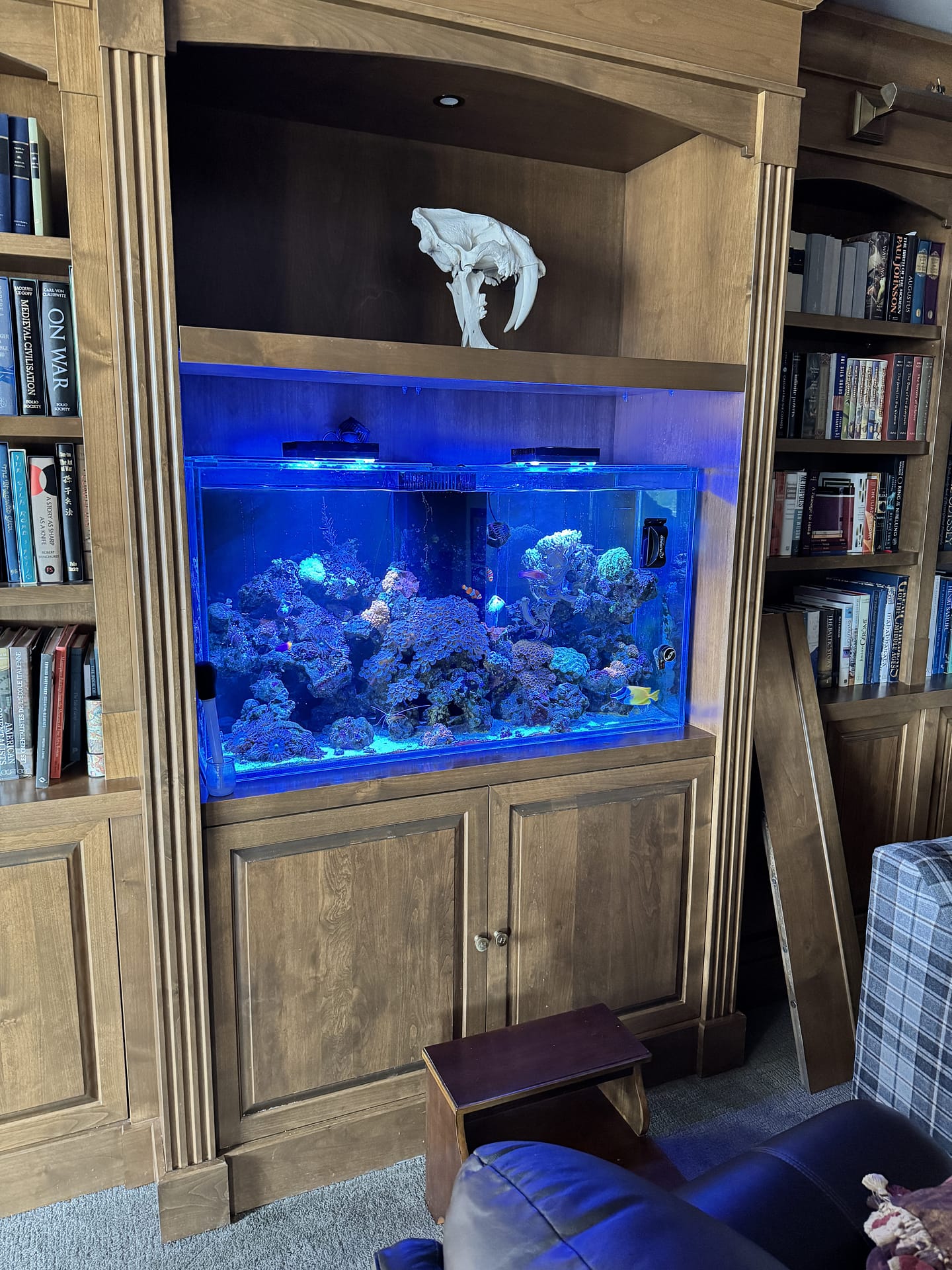 IMG_8701 custom cabinetry for aquarium canada